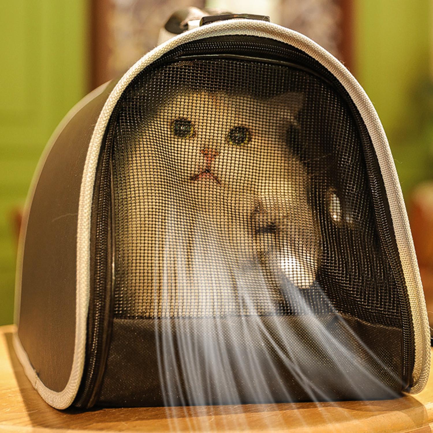 schoudertas kattenmand Zwarte mesh zijkant kattenreistas met ademend materiaal